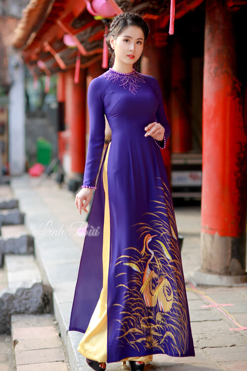  Áo dài – trang phục đưa hình ảnh đất nước Việt Nam đến mắt bạn bè quốc tế